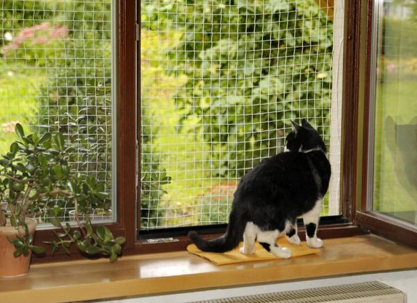 Katzen Sicherheitsnetz 2x4 m