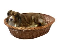 Hunde Ruhekorb mit Kissen Gr. 5