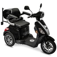 E-Trike 25 V.2, Schwarz, 1000 Watt