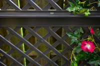 KHW Spalier (2-tlg.) 100 cm mit Erdspießen, anthrazit - 2er Set