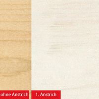2in1 Express Deckfarbe weiß 2,5 L 2-er Set