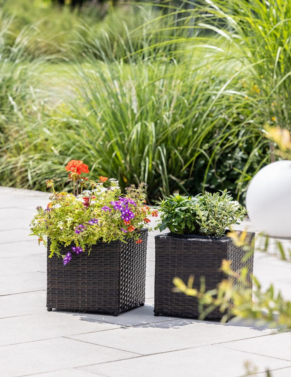 Miniaturansicht des Produkts