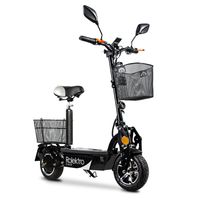 E-Joy 20, Schwarz, faltbarer E-Scooter, EU-Zulassung