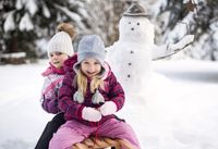 Pinolino Hörner-Schlitten