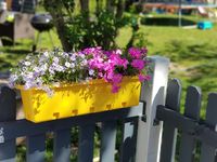 Blumen- / Kräuterbox 5 Stück, gelb, terrabraun
