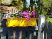 Blumen- / Kräuterbox 5 Stück, anthrazit, komplett
