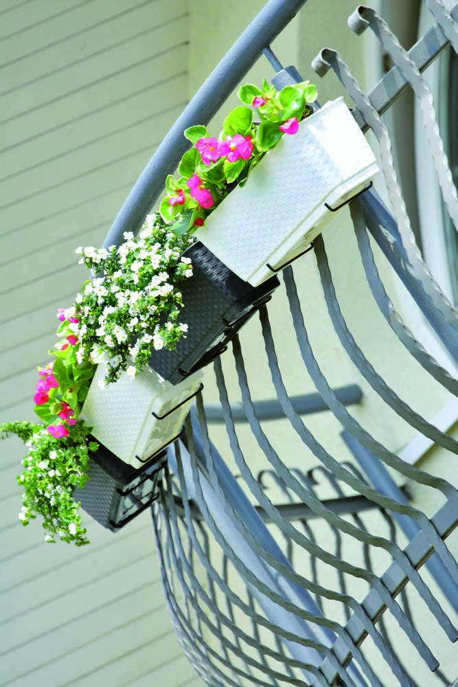 Miniaturansicht des Produkts