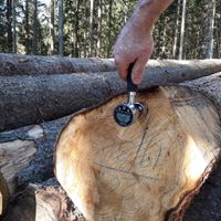 Holzfeuchtemessgerät PCE-WMH-3