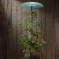KHW Tomatenhut 1er Set inklusiv Stab und Schutzfolie
