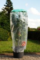 KHW Tomatenhut 3er Set inklusiv Stab und Schutzfolie