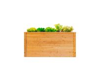 Westmann Hochbeet Lärche 170, 170x90x84 cm