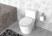 Duschwell Duroplast WC-Sitz - Weiß Eco