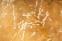 Teppich Gold 120cm x 170cm