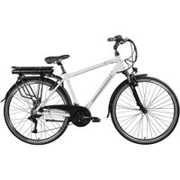 Z802 E Bike 28 Zoll Trekkingrad 21 Gang Elektrofahrrad StVZO 155 - 185 cm Pedelec Elektro