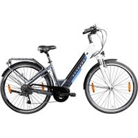 Z901 E Bike Damen 28 Zoll 150 - 180 cm Pedelec Damenfahrrad City 7 Gang Elektrofahrrad Hollandrad
