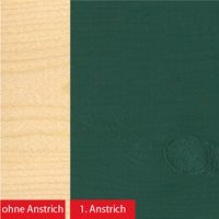 2in1 Express Deckfarbe grün 2,5 L 2er Set
