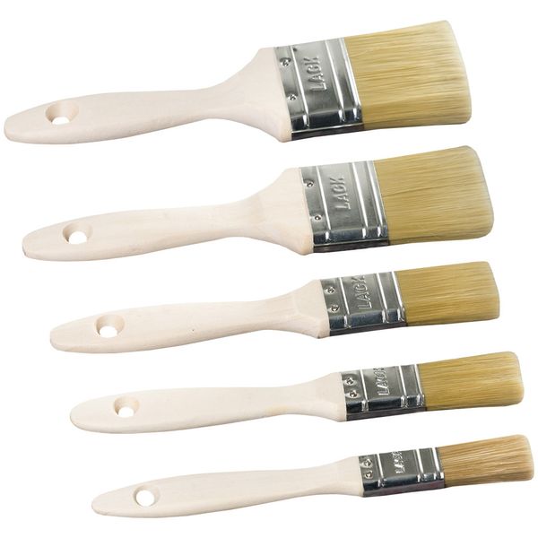 Lack-Pinsel-Set 5tlg. "PRO"
