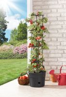 Tomatenturm 28 Liter - Anthrazit 21-teilig