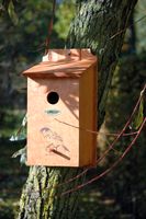Nistkasten mit Siebdruckmotiv "Haussperling"