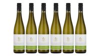 Winzer vom Weinsberger Tal "Rebsortenlinie" Grauburgunder Qba Trocken 0,75 l 6er Karton