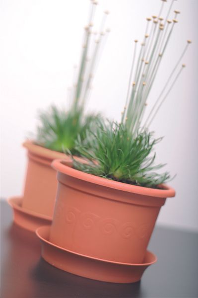 Powertec Garden Pflanztopf "Classic", Rund -  Terrakotta
