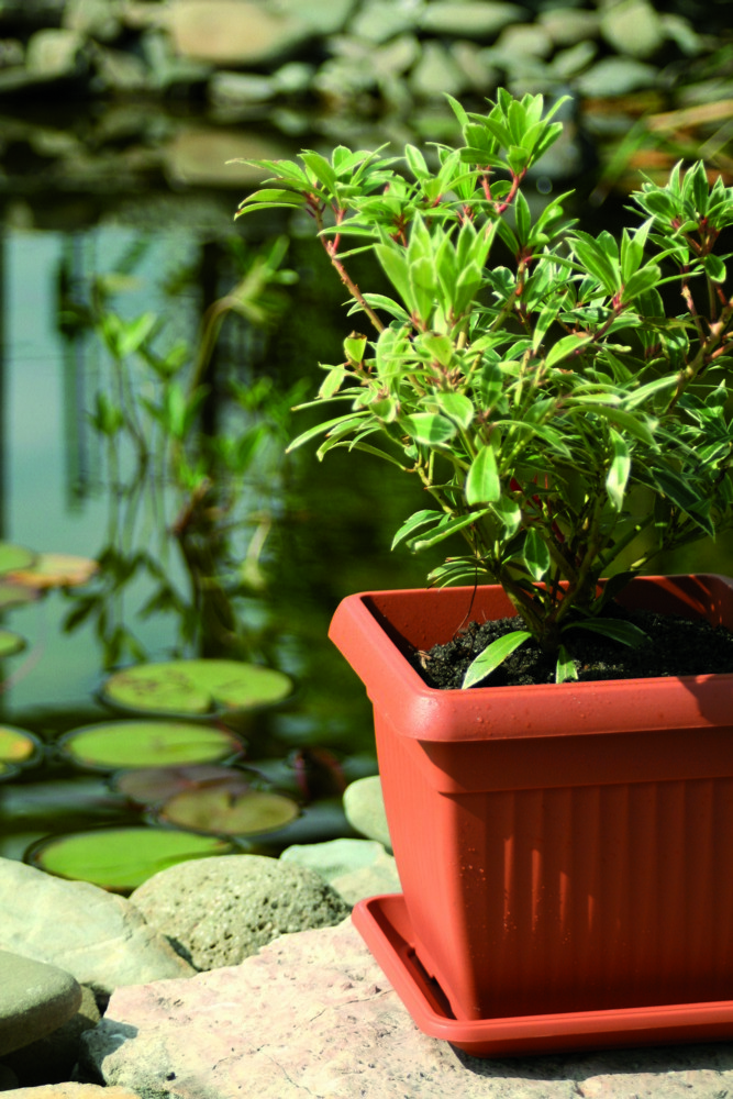 Miniaturansicht des Produkts