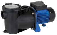 Schwimmbadfilterpumpe mit Timer SPP 400 FT