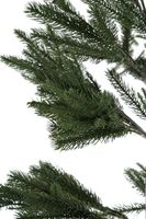 210CM FULL PE TREE WITH 751 TIPS METAL STAND