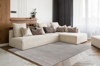 Teppich Nila 100 Grau