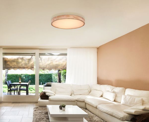 Lighting - RAINER - Deckenleuchte Metall holzoptik, LED