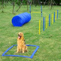 Hunde Agility Slalom Übung Hundesport Training Reifen Hürde Set 2 Modelle