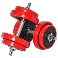 Hantelset 20KGS 2-IN-1 Hanteln & Langhanteln verstellbar Rot+Schwarz 21,5 x 21,5 x 3,8 cm