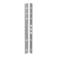 Bändersicherung - BS 280 - mit 3 Zapfen und Schrauben - 280x20 mm - verzinkt