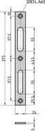 Flachschliessblech - FLB 946 - Edelstahl - käntig - 215x24x3 mm - Rechts/Links verwendbar