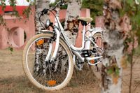 Kinderfahrrad 20'' Balloon weiß RH 34 cm