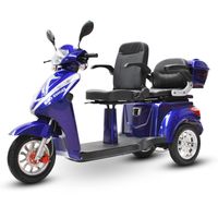 Eco Engel 503 Blau mit herausnehmbarem 20Ah Lithium-Ionen-Akku, Zweisitzer Elektromobil