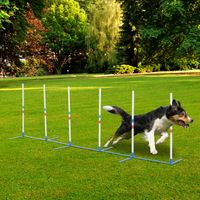 Hunde Slalomstangen Agility Training für Haustiere Hundetrainigsset Inklusive 600D Tasche Leicht zu tragen Polyester Kunststoff Weiß+Blau 305 x 60 x 94 cm