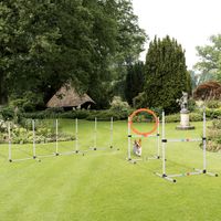 3-tlg. Hunde Agility Set Training für Haustiere mit Tasche Weiß+Gelb
