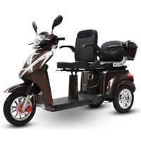 503 Schoko 25 km/h Zweisitzer Elektromobil