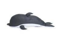 Westmann Pool Buddy Delfin