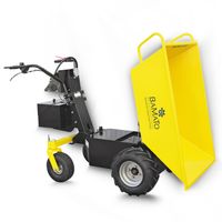 Mini Transporter MTR-550RE mit Elektroantrieb