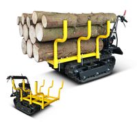 Mini Raupendumper MTR-300H