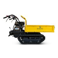 Mini Raupendumper MTR-300
