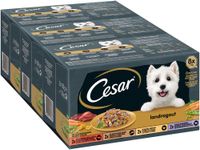 Schale Multipack 24 Mega Pack Landragout 4 Varietäten 24 x 150g