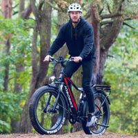 E-Bike Robin 26 Zoll Fat-Reifen Elektrofahrrad 7 Gang Shimano Acera Kettenschaltung 250W Heckmotor