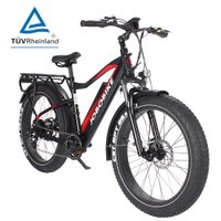E-Bike Robin 26 Zoll Fat-Reifen Elektrofahrrad 7 Gang Shimano Acera Kettenschaltung 250W Heckmotor