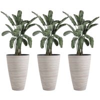 3er Set Blumenkübel Pflanzkübel Blumentopf Ø 46,5 cm Höhe 60 cm Pflanztopf Blumentöpfe aus stabilem Kunststoff Cremeweiß