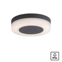 LED Außen - Wand- und Deckenleuchte, IP54, Ø21,5cm, anthrazit FABIAN