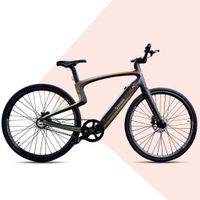 Urtopia Smartes Carbon E-Bike Rainbow Gr. M  Blinker Anti Diebstahl Navi App Sprachsteuerung