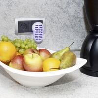 Gardigo Obstfliegen-Vernichter